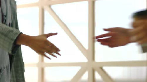 Professional Handshake Between Two People in Workplace