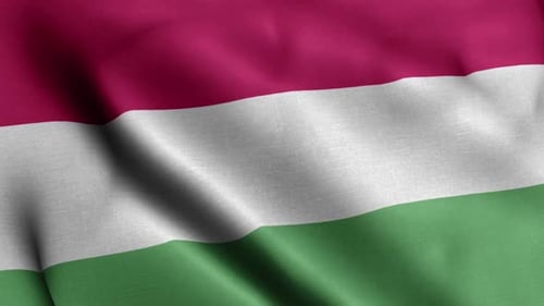Realistic Waving Hungarian Flag Seamless Loop Background