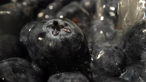 Washing Blueberries 56
