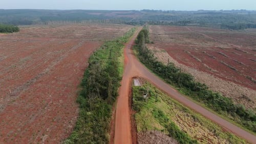 Drone fly above rural road at desolated, deforested area, logging wood industry landscape
