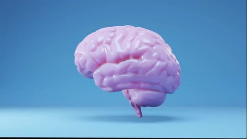 pink brain spin isolate on blue background.