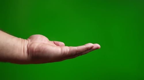 16a. A man puts his palm with a request for something on a green background.