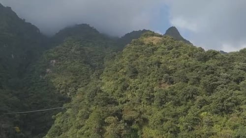 Des sommets verdoyants enveloppés de brume