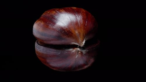 Edible double chestnut nut, rotating on a black background, close-up
