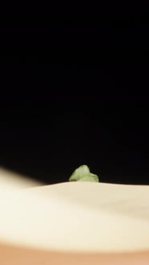 I'm making a sandwich. I put a piece of cheese on bread. Dolly slider extreme close-up inside. Laowa