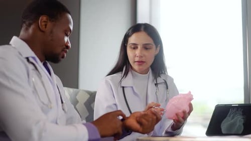 Doctors Discussing Pink Anatomical Heart Model Indoors