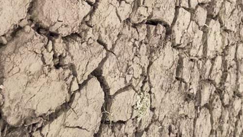 Cracked Dry Earth Surface Close Up