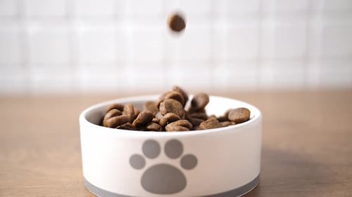 Dry Pet Food Filling Bowl with Paw Print