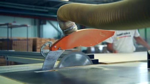 Saw Blade Cutting Wood in a Factory