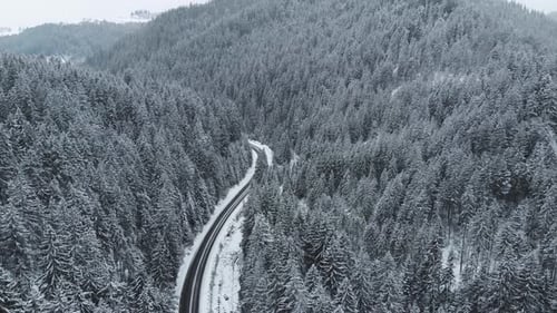 Winter Mountain Road Surrounded By Snowy Trees Aerial View