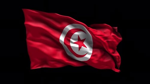 Tunisia Flag Waving Realistic 3D Animation