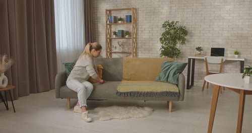 Woman Cleaning Gray Couch with Red Brush Indoors