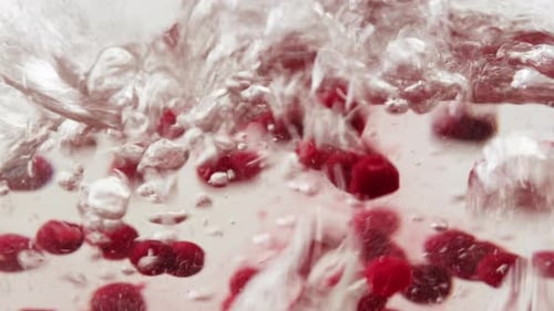 Frozen Cranberries Cooking for Tea or Jam Background Close Up of Cranberry Berries in on the Kitchen