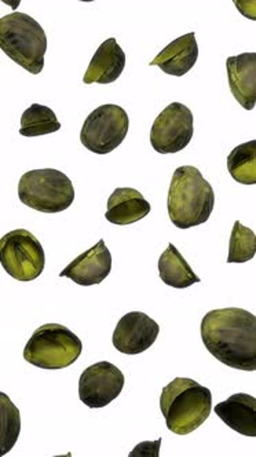 Abstract Green Organic Shapes Falling Vertical Loop