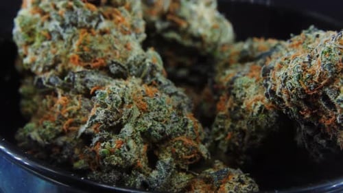 Makro-Pflanzen, lila, grün, getrocknete Marihuana-Blüten, Nahaufnahme, Schuss, Stapel getrockneter Marihuana-Pflanzen, Orange