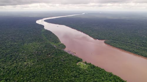 Vista aérea: Gran río de agua dulce que atraviesa la selva amazónica, Surinam