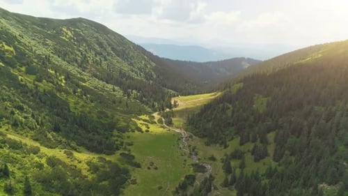 Green Canyon with Pine Tree Forest and Curve River