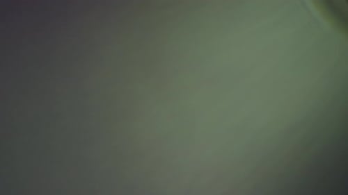 Colleción Lucent Warm: la lente parpadea con el efecto de flash capturada con una lente Prime de 100 mm