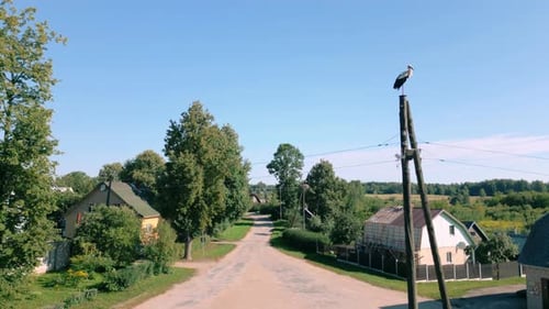 Stork perches on an electricity pole in a tranquil Baltic village square near the Belarusian border,