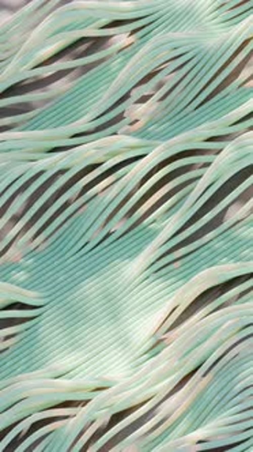 Dynamic Strips 3D Loop Animation