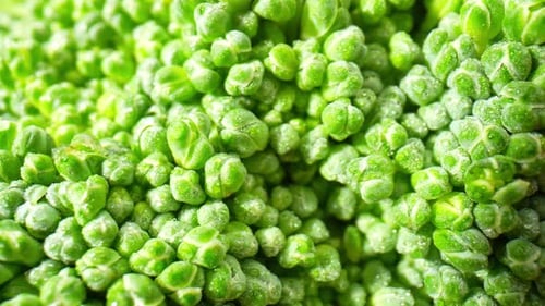 Extreme Close Up of Fresh Green Broccoli