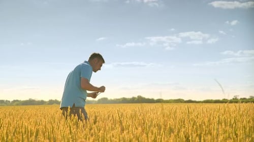 Agriculture Scientist with Tablet Working on Field Landscape. Agricultural Science Worker Using