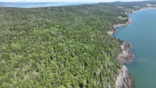 Aerial view of a coastal Forest in Nova Scotia, Canada