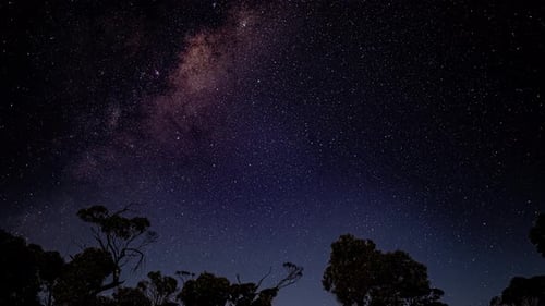 Time Lapse of the stars above the trees