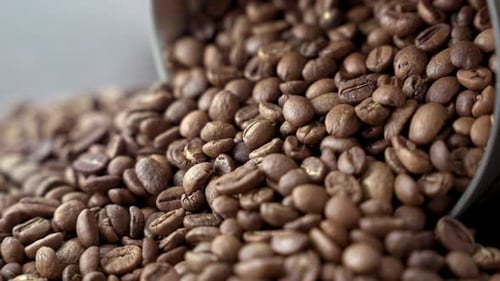 A tightly framed shot of coffee beans spilled out of a cannister. The shot highlights in great