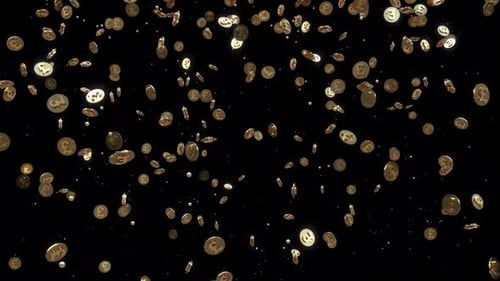 Falling Gold Pound Coins Loop Animation