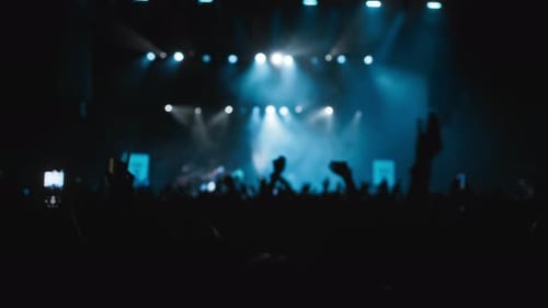 Energetic Concert Crowd Enjoys Live Music Event