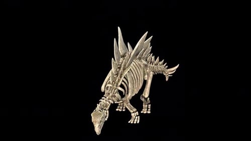Animated 3D Stegosaurus Dinosaur Skeleton Walking with Alpha Channel