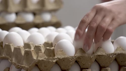 Woman Places White Eggs in Carton, Close Up