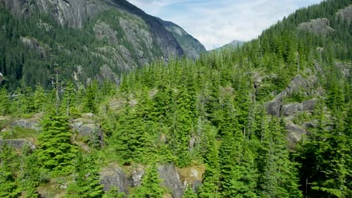 A shot overlooking the trees and the lake, tilted towards the mountain.