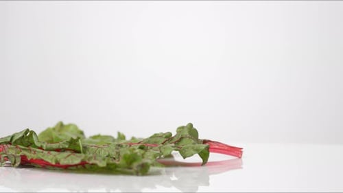 Swiss Chard Leaves Bouncing Slow Motion White Tabletop Closeup Food Studio