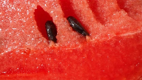Watermelon in macro video