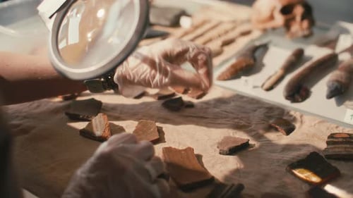 Hands of Female Archeologist Arranging Artifacts under Magnifying Lamp