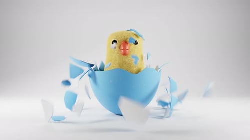 Cute Chick Hatching From Easter Egg Animation