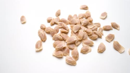 Orange Grapefruit Seeds Slide View In White Table Background