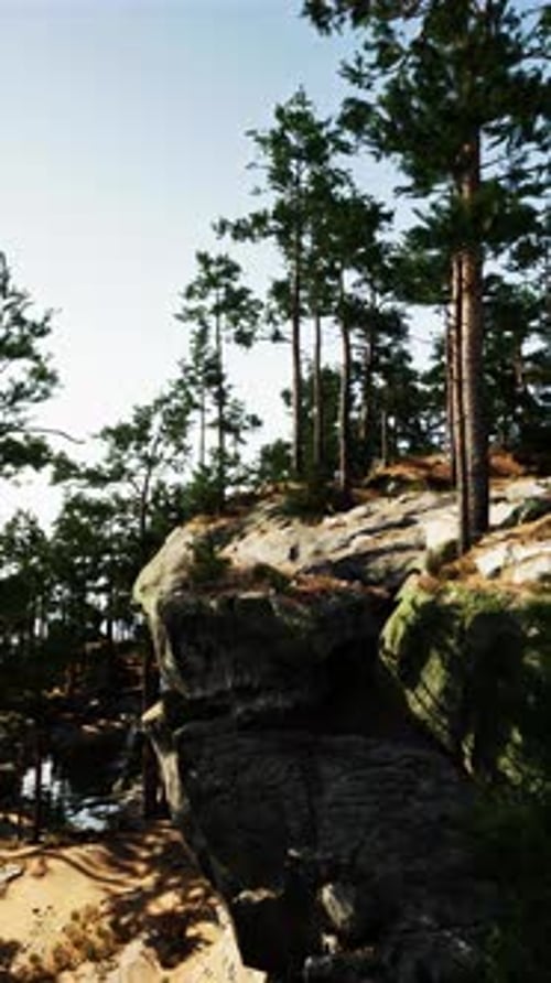 Rocky Cliff With Trees