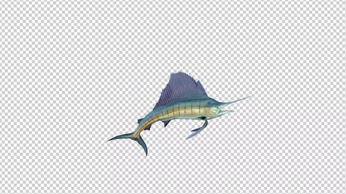 Fondo transparente Swordfish Idle