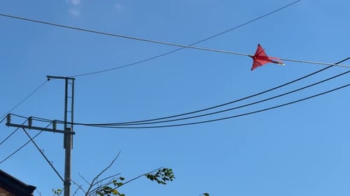 Showing electrical wirings a stuck red kite at near by residential area