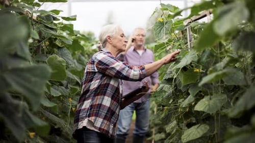 Concept d'agriculture, de jardinage, de vieillesse, de technologie et de personnes - Femme âgée avec