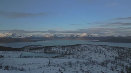 Winter landscape
