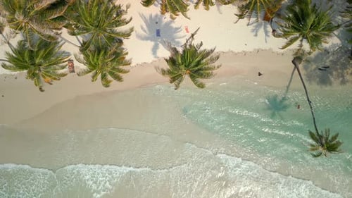 Luftaufnahme eines wunderschönen tropischen Strandes mit kristallklarem Meer und Kokospalmen