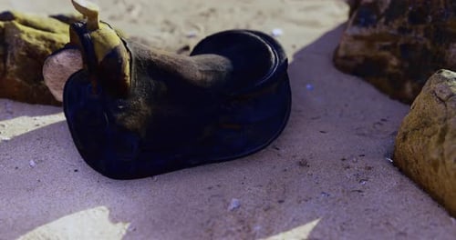 Cowhide Saddle Resting on Sandy Beach Near Rocky Formations Under Sunlight