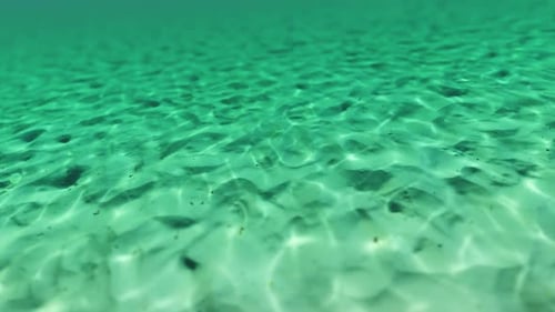 Erkundung der Unterwasserwelt 01 HD