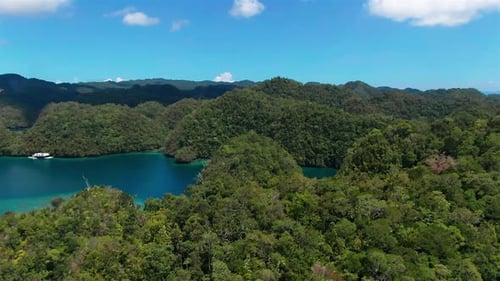 drone aerial view of an earthy earthday looking lanscape, big grass hills scattered around the ocean