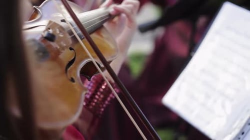 Hand on the Strings of a Violin