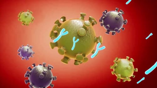 3D Animation of Antibodies Attacking Viral Cells